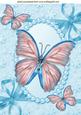 Pretty Turq Butterflies in Pearl Frame A4