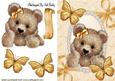 Cuddly Teddy with Gold Butterflies