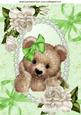 Cuddly Brown Bear with Cream Roses and Bow A4