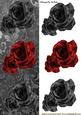 Black Roses with Red Rose Tall Dl