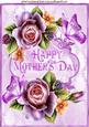 Lilac and Peach Roses for Mothers Day A4