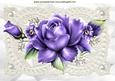 Purple Roses on Lace with Butterflies A4