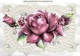 Pink Roses on Vintage Lace with Pearls A4