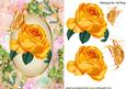 Floral Meadow Flowers and Rose