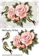Pink Roses on Vintage Lace with Birds