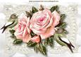 Pink Roses on Vintage Lace with Birds A4