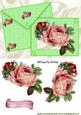 Vintage Pink Roses for a Lady, on Card & Envelope