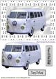 White Volkswagen Vw in Silver Floral Frame