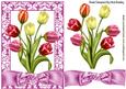 Pretty Shades of Tulips in Floral Frame