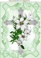 Pretty Silver Cross with White Lilies A4