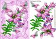 Pretty Pink Lilies with Butterflies