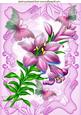 Pretty Pink Lilies with Butterflies A4