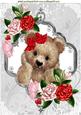 Fuzzy Bear with Red/pink Roses & Butterflies A4
