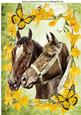 Horses with Daffodils & Butterflies A4