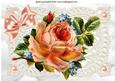 Vintage Peach Rose with Pearls on Ecru Lace A4