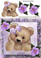 Fuzzy Bear in Flower Frame 8x8