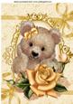 Fuzzy Bear with Pretty Gold Roses on Lace A4