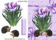Lavender and Pink Tulips, with Cute Hedgehogs