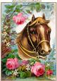 Horse Among the Roses A4