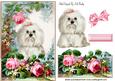 Cute Westie with Rose in the Garden