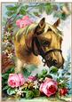 Horse with Butterflies and Roses A4