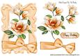Peach Magnolias with Bow