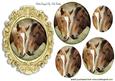 Pair of Horses in Gold Frame Oval Pyramids