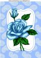 Blue Roses in Ornate Frame with Bow A4