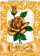 Peach Bow with Gold Roses in Ornate Frame A4