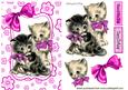 Vintage Kittens in Pink Floral Frame