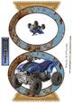 Muddy Blue Quadbike in Rustic Quick Card
