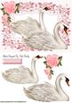 Beautiful White Swans in Floral Frame