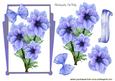 Pretty Blue Flowers in Art Deco Frame