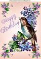 Pretty Vintage Bird with Flowers Birthday! A4