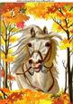 Beautiful White Horse in the Meadow A4
