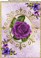 Purple Rose with Petunias in Frame A4