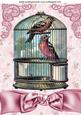 Pretty Birds in a Birdcage with Bow A4