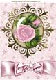 Pretty Pink Roses in Ornate Frame A4