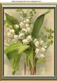 Beautiful Lily of the Valley Flowers in a Frame A4