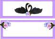 Beautiful Black Swans Dl Insert