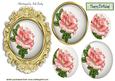 Pink Rose in White, Gold Frame Oval Pyramids