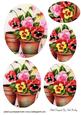 Potted Plants of Pansies Oval Pyramids