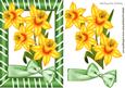 Golden Daffodils with Bow in Frame