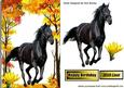 Beautiful Black Stallion in Autumn Woods