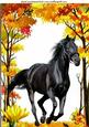 Beautiful Black Stallion in Autumn Woods A4