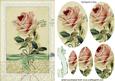 Single Pink French Rose in Cream Lace Oval Pyramids
