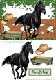 Black Stallion with Cowboy Hat & Fence