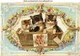 Vintage Kittens in a Basket in Floral Frame A4