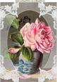 Pink Roses in a Vase with Lace A4