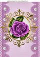 Pretty Pink Rose in Ornate Frame A4